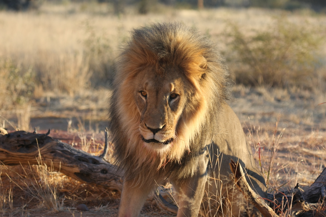 [8516] 2016_06_23_11_54_35_Africa_Canon_EOS_40D_IMG__00950.jpg