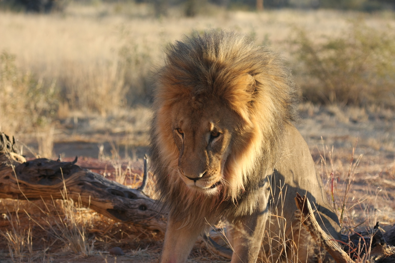 [8517] 2016_06_23_11_54_35_Africa_Canon_EOS_40D_IMG__00951.jpg