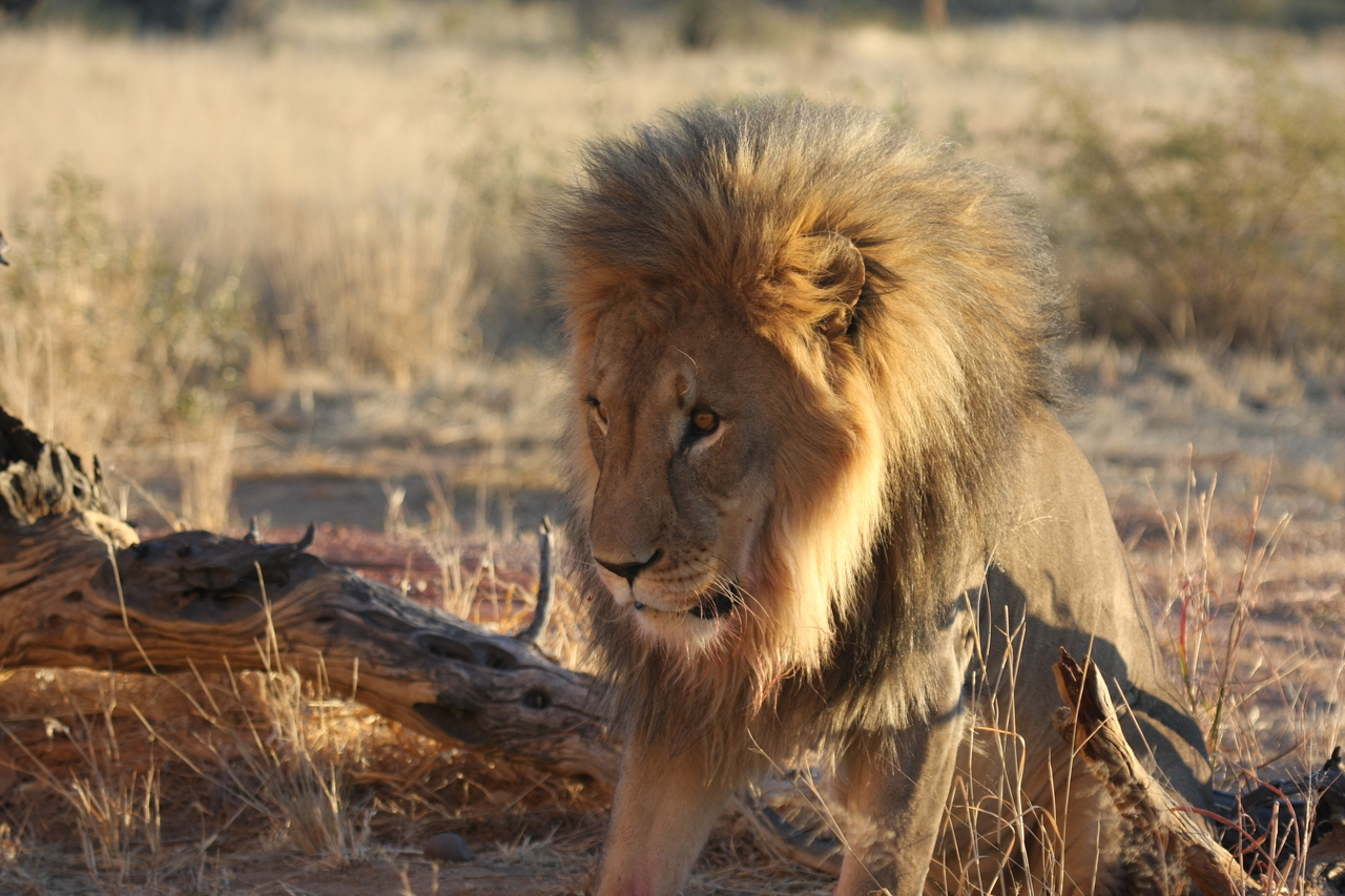 [8531] 2016_06_23_11_54_36_Africa_Canon_EOS_40D_IMG__09235.jpg