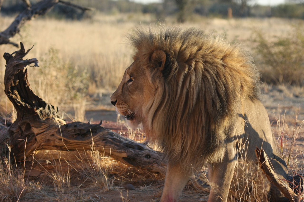 [8544] 2016_06_23_11_54_43_Africa_Canon_EOS_40D_IMG__00959.jpg