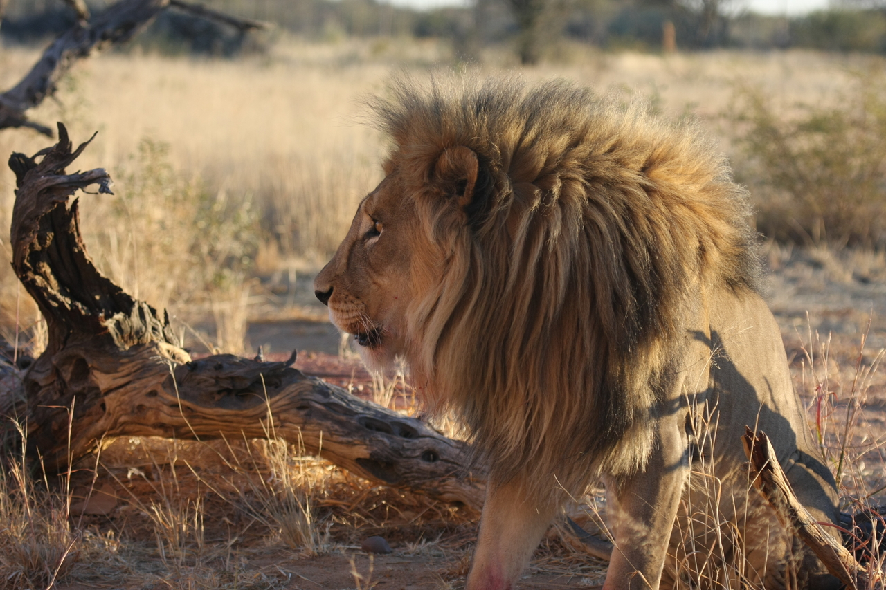 [8550] 2016_06_23_11_54_44_Africa_Canon_EOS_40D_IMG__01794.jpg