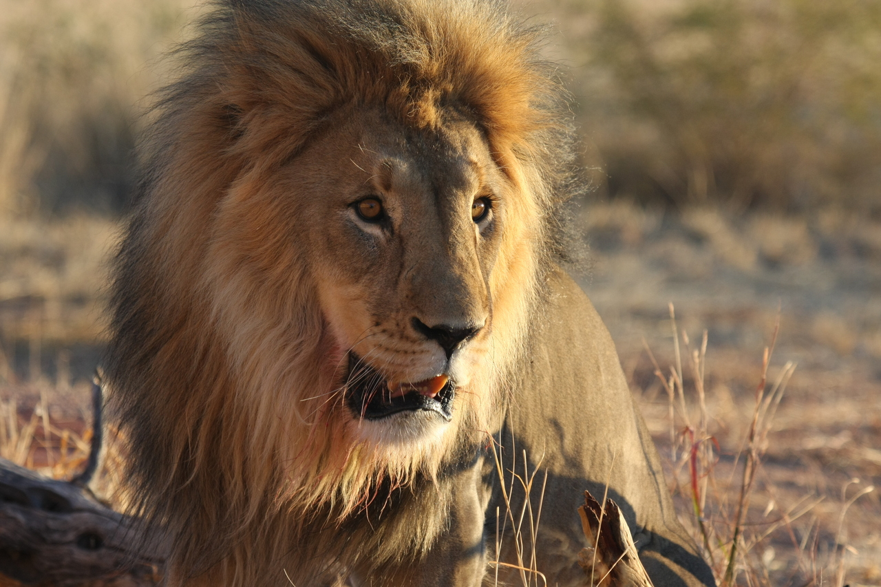 [8569] 2016_06_23_11_54_53_Africa_Canon_EOS_40D_IMG__09246.jpg