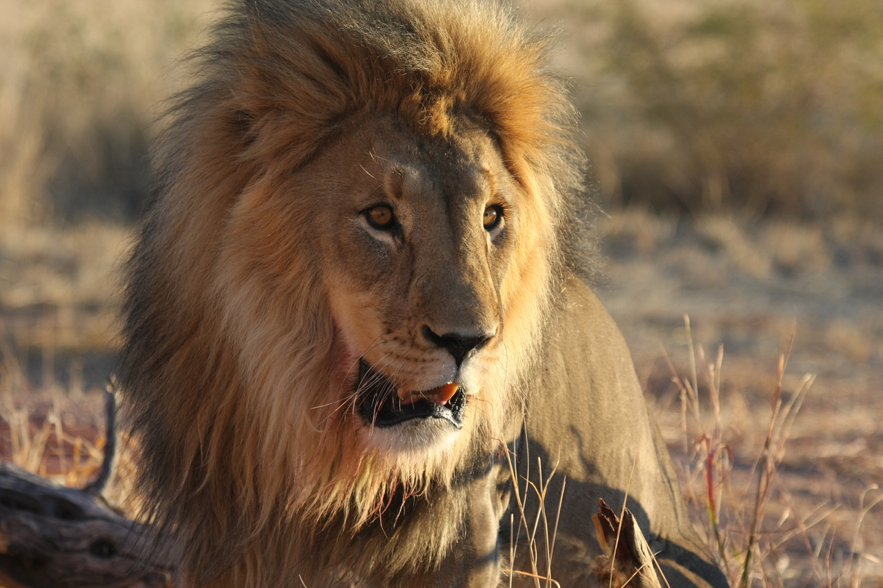 [8573] 2016_06_23_11_54_54_Africa_Canon_EOS_40D_IMG__01800.jpg