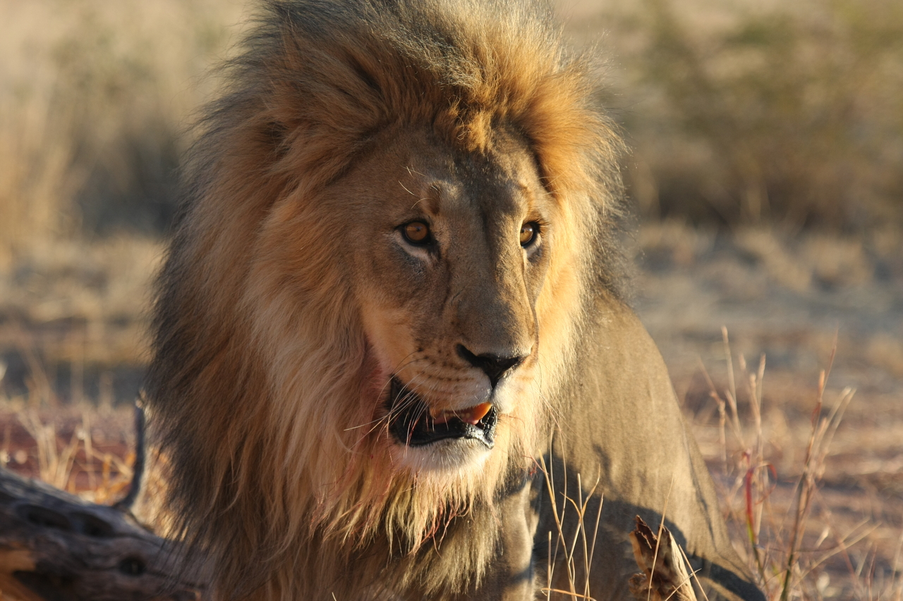 [8577] 2016_06_23_11_54_54_Africa_Canon_EOS_40D_IMG__09248.jpg