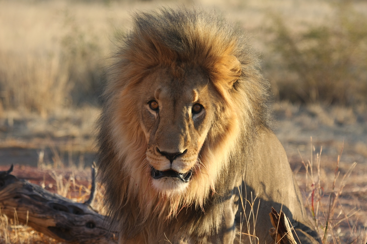 [8581] 2016_06_23_11_54_55_Africa_Canon_EOS_40D_IMG__00971.jpg