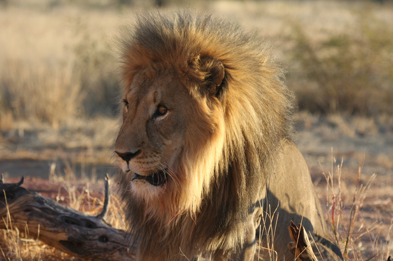 [8589] 2016_06_23_11_54_56_Africa_Canon_EOS_40D_IMG__00973.jpg