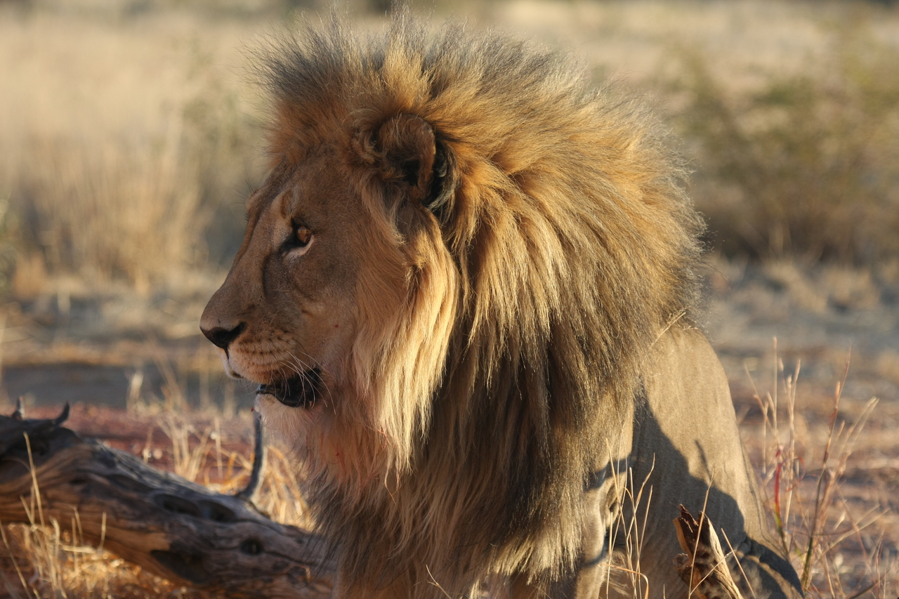 [8593] 2016_06_23_11_54_56_Africa_Canon_EOS_40D_IMG__01808.jpg