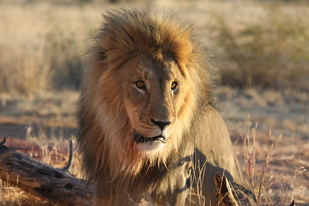 [8633] 2016_06_23_11_55_11_Africa_Canon_EOS_40D_IMG__09269.jpg