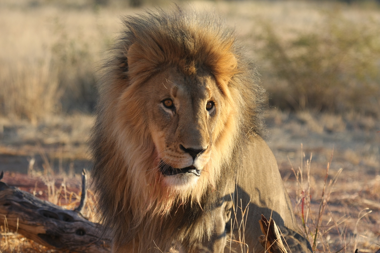 [8639] 2016_06_23_11_55_12_Africa_Canon_EOS_40D_IMG__09271.jpg