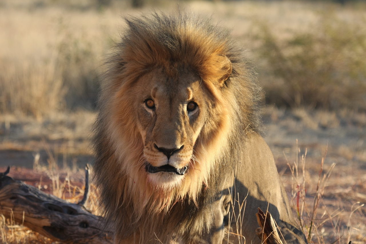 [8641] 2016_06_23_11_55_13_Africa_Canon_EOS_40D_IMG__00992.jpg