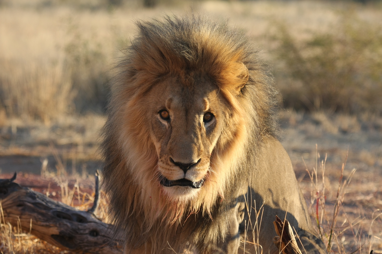 [8645] 2016_06_23_11_55_13_Africa_Canon_EOS_40D_IMG__01827.jpg