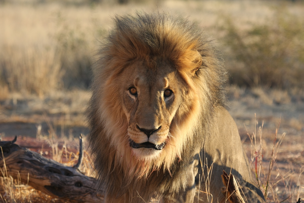 [8650] 2016_06_23_11_55_14_Africa_Canon_EOS_40D_IMG__00995.jpg