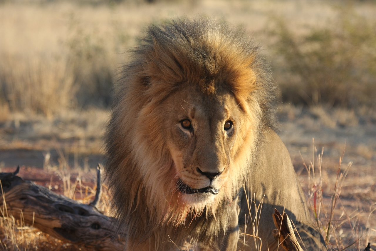 [8651] 2016_06_23_11_55_14_Africa_Canon_EOS_40D_IMG__00996.jpg