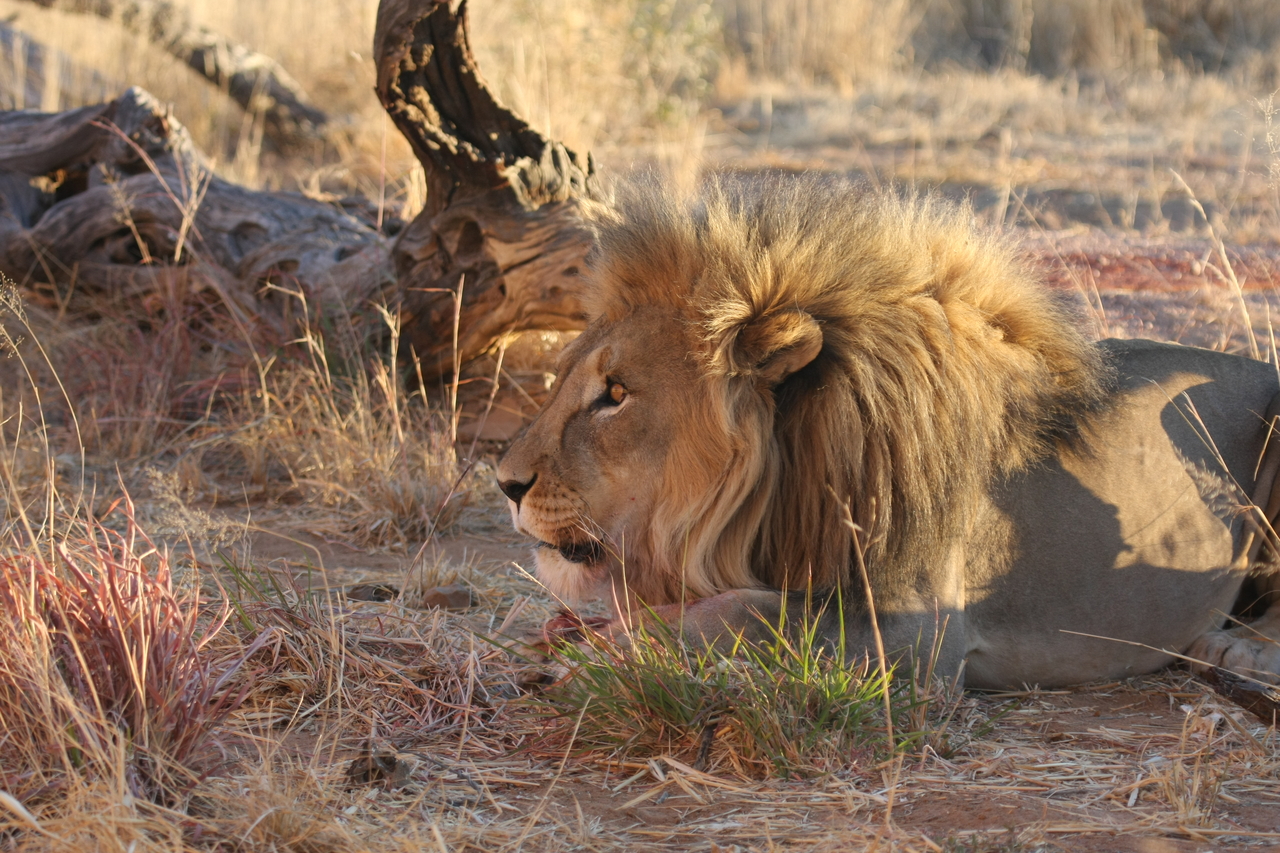 [8662] 2016_06_23_11_55_36_Africa_Canon_EOS_40D_IMG__01833.jpg