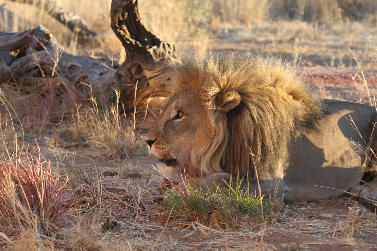 [8664] 2016_06_23_11_55_36_Africa_Canon_EOS_40D_IMG__09278.jpg