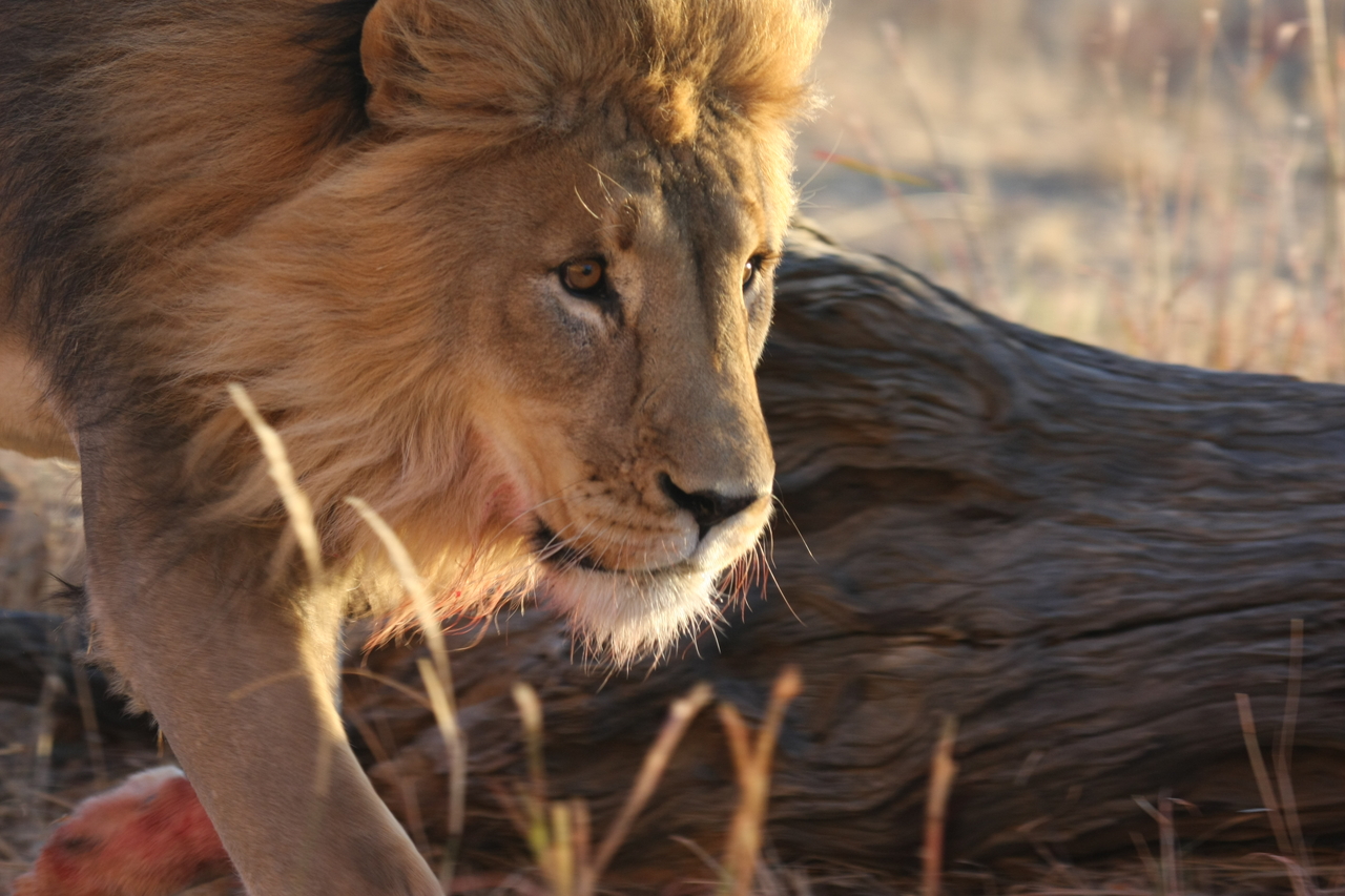 [8693] 2016_06_23_11_56_36_Africa_Canon_EOS_40D_IMG__01838.jpg