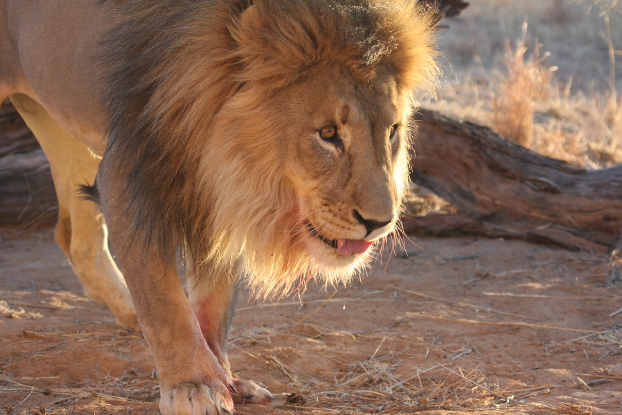 [8728] 2016_06_23_11_56_44_Africa_Canon_EOS_40D_IMG__09294.jpg