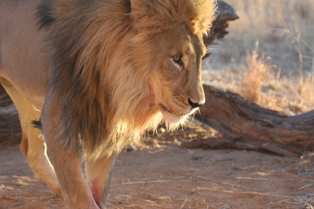 [8731] 2016_06_23_11_56_45_Africa_Canon_EOS_40D_IMG__01016.jpg