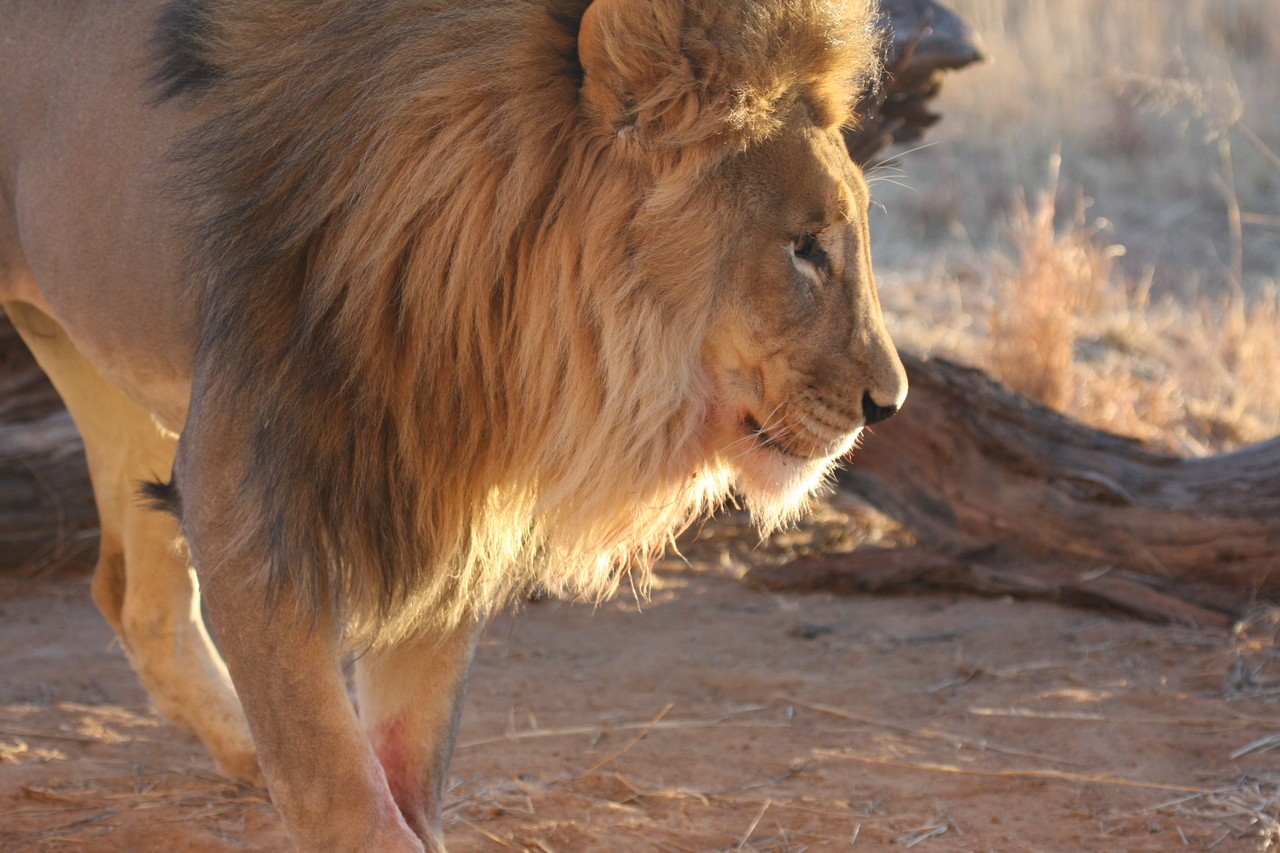 [8733] 2016_06_23_11_56_45_Africa_Canon_EOS_40D_IMG__01849.jpg