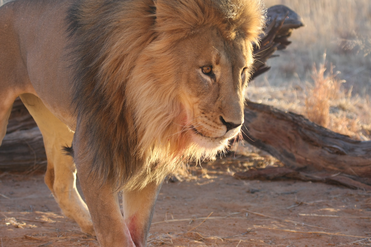 [8735] 2016_06_23_11_56_45_Africa_Canon_EOS_40D_IMG__01851.jpg