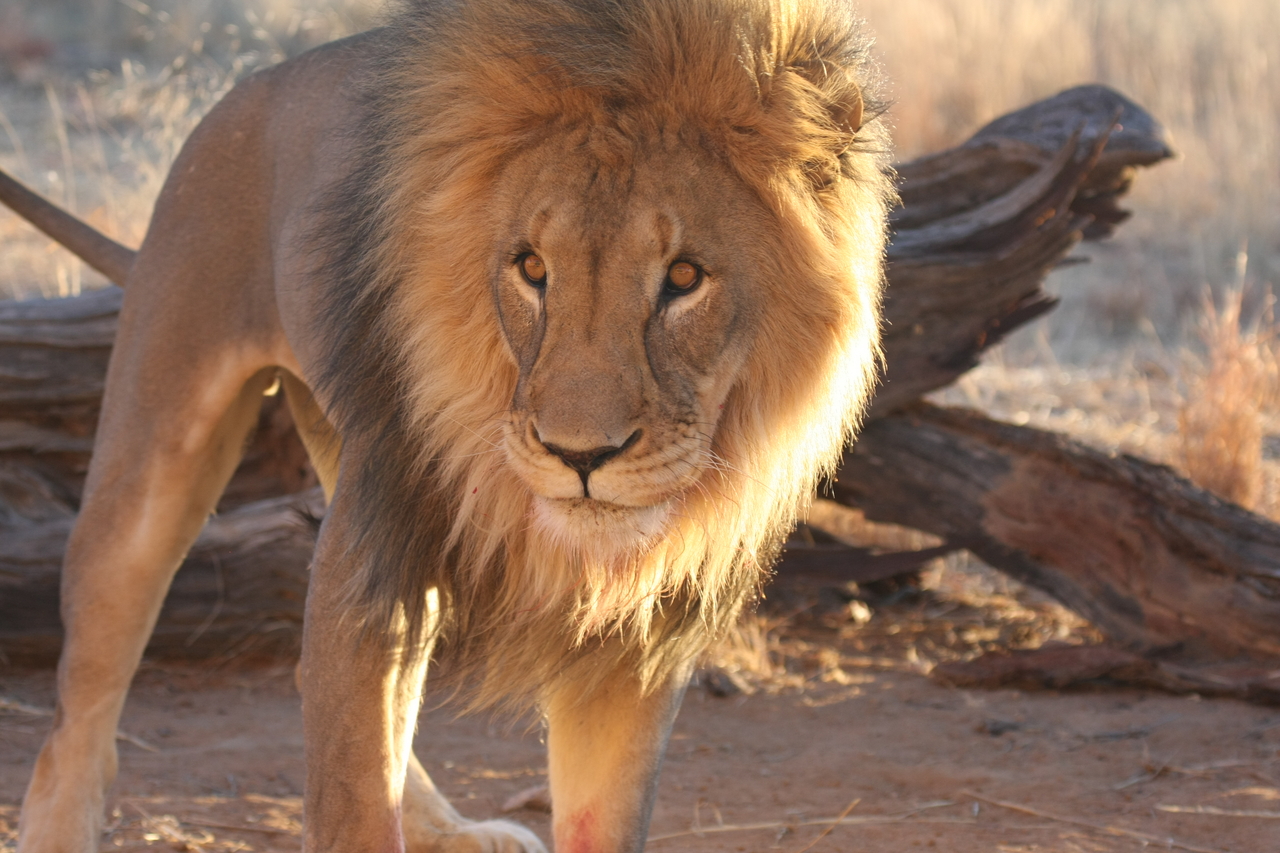 [8742] 2016_06_23_11_56_46_Africa_Canon_EOS_40D_IMG__01853.jpg