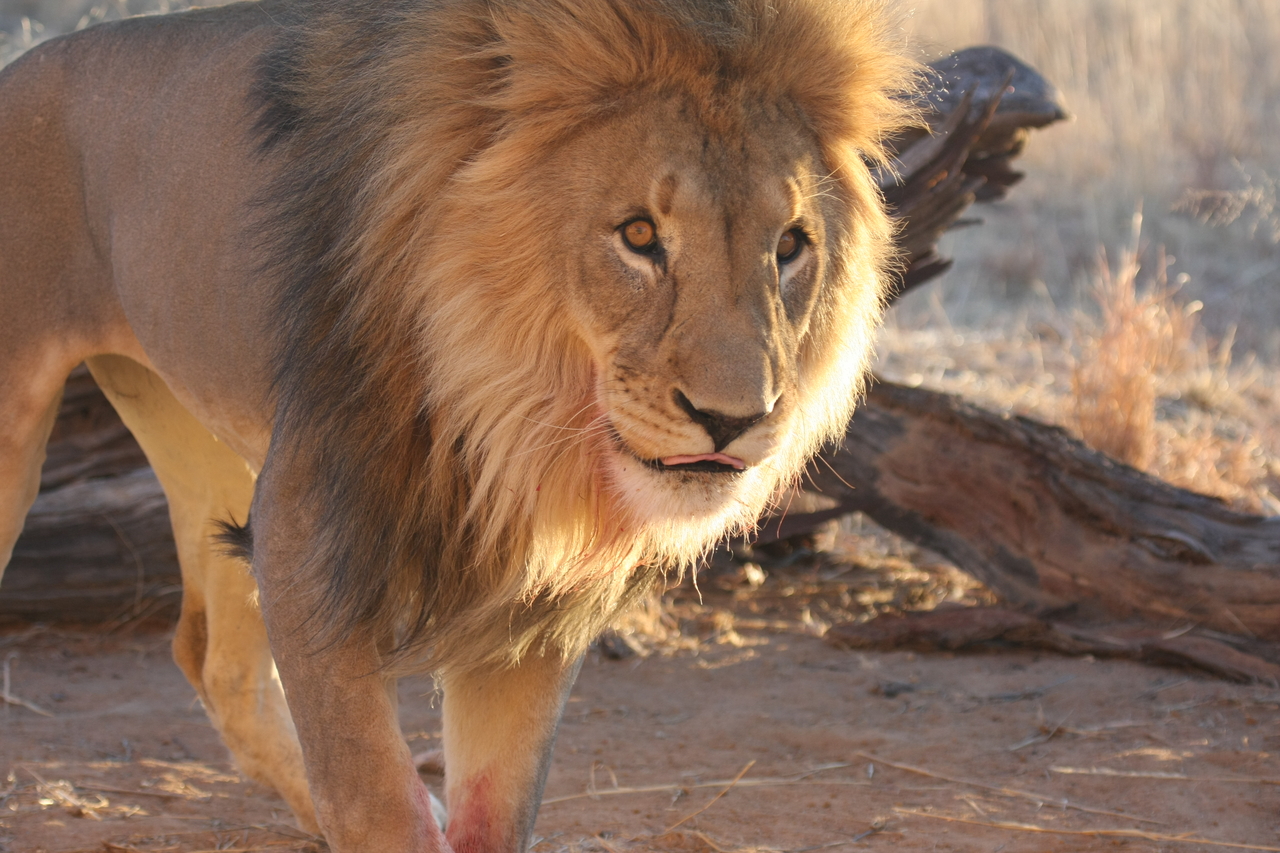 [8743] 2016_06_23_11_56_46_Africa_Canon_EOS_40D_IMG__09299.jpg