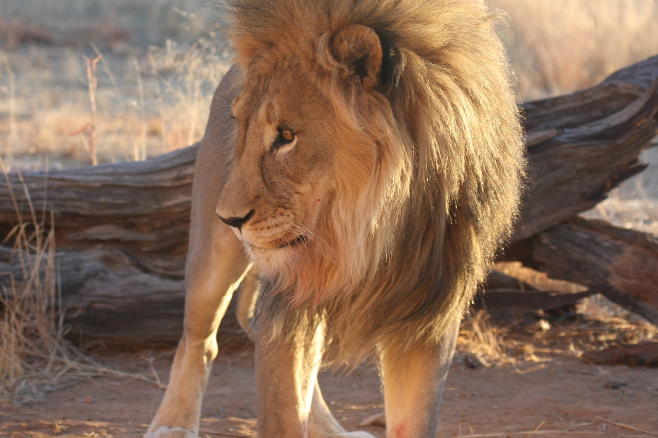 [8745] 2016_06_23_11_56_47_Africa_Canon_EOS_40D_IMG__01021.jpg