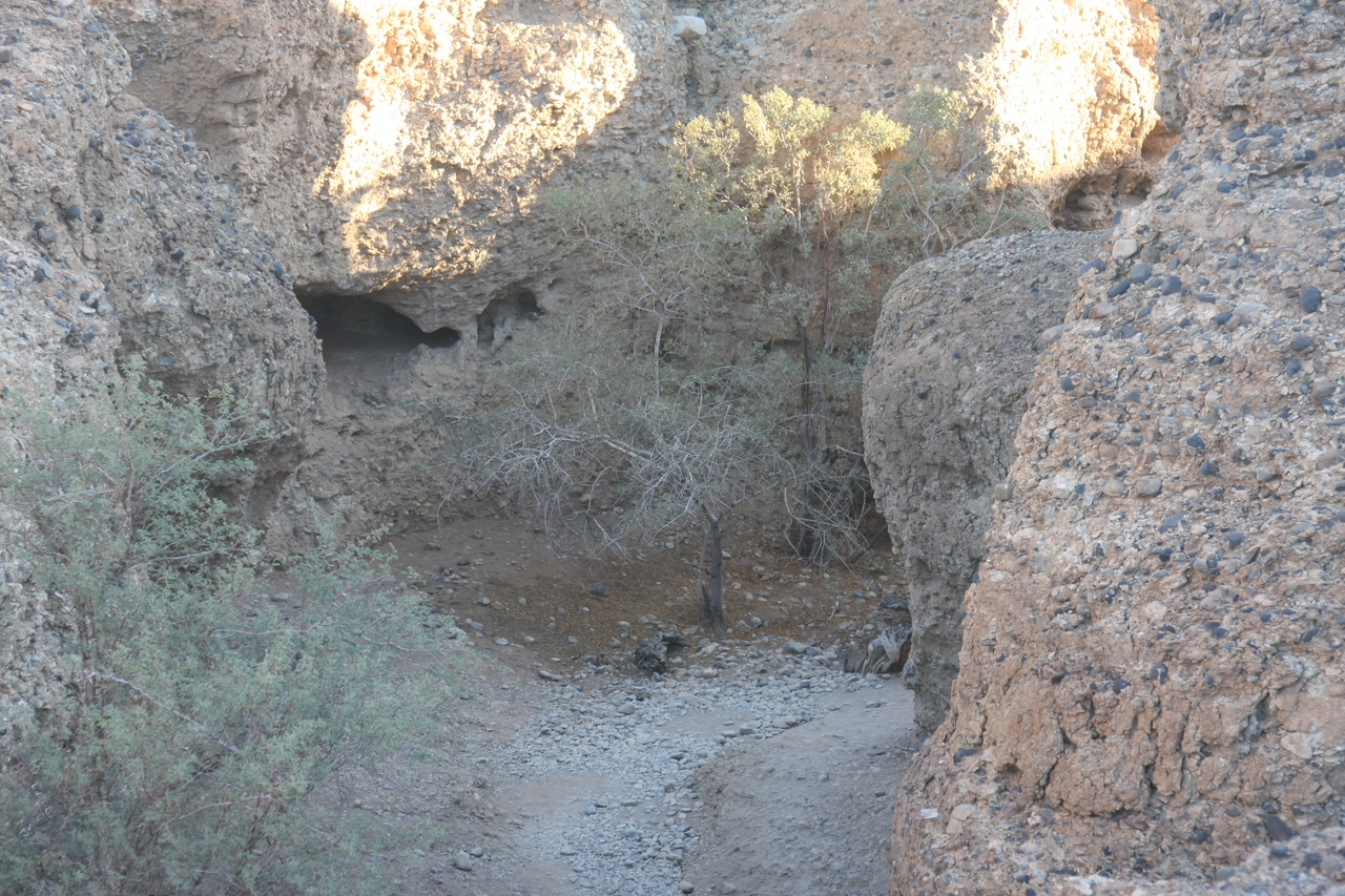 [13854] 2016_06_24_11_32_04_Africa_Canon_EOS_40D_IMG__09438.jpg