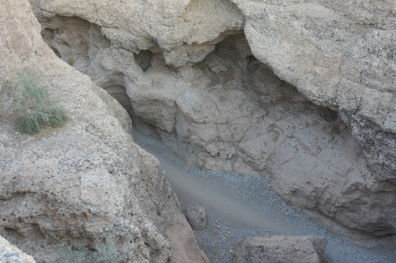 [13873] 2016_06_24_11_35_28_Africa_Canon_EOS_40D_IMG__00007.jpg