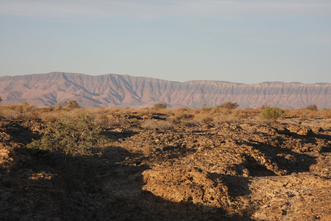 [13879] 2016_06_24_11_36_00_Africa_Canon_EOS_40D_IMG__00009.jpg