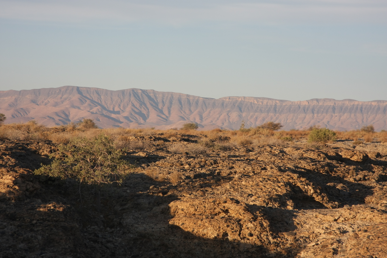 [13884] 2016_06_24_11_36_00_Africa_Canon_EOS_40D_IMG__09383.jpg