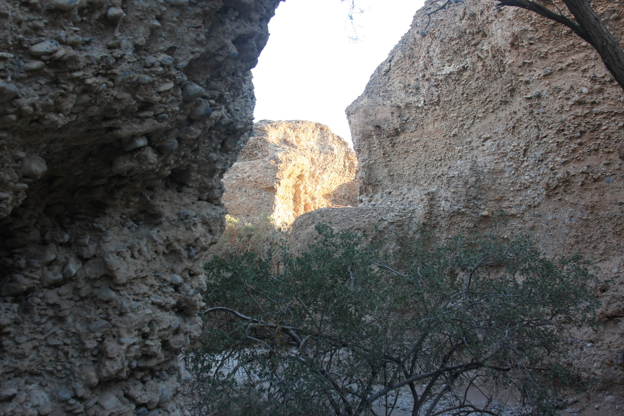 [13905] 2016_06_24_11_38_26_Africa_Canon_EOS_40D_IMG__09391.jpg