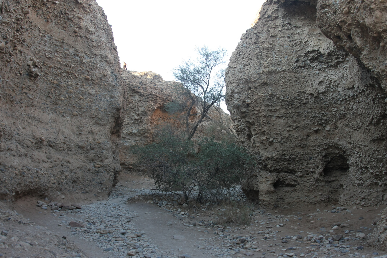 [13906] 2016_06_24_11_39_03_Africa_Canon_EOS_40D_IMG__00019.jpg