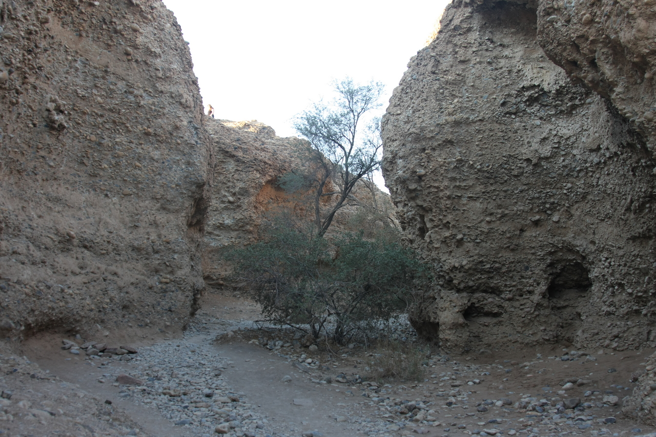 [13911] 2016_06_24_11_39_03_Africa_Canon_EOS_40D_IMG__09393.jpg