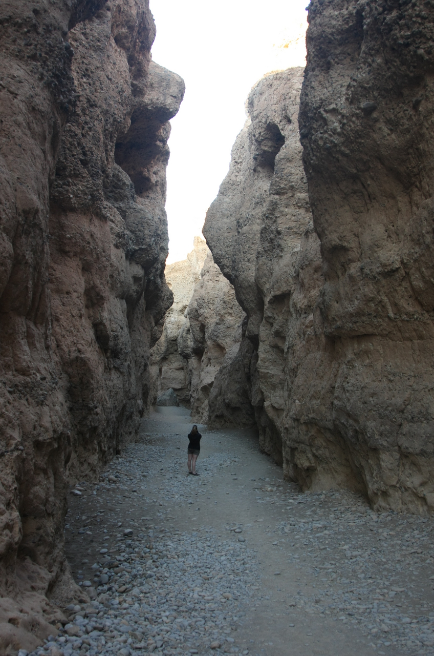 [13988] 2016_06_24_11_47_03_Africa_Canon_EOS_40D_IMG__09421.jpg