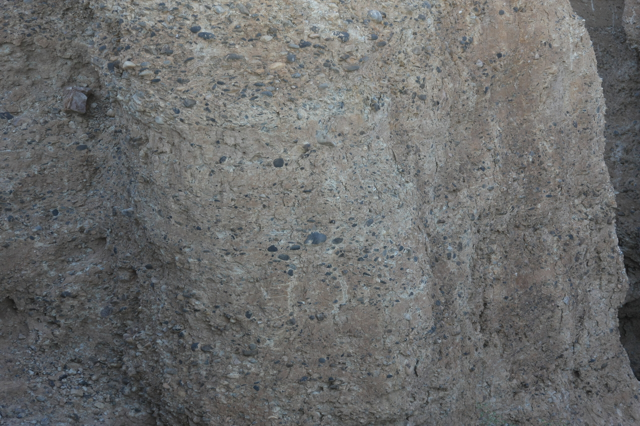 [14014] 2016_06_24_11_54_03_Africa_Canon_EOS_40D_IMG__09427.jpg