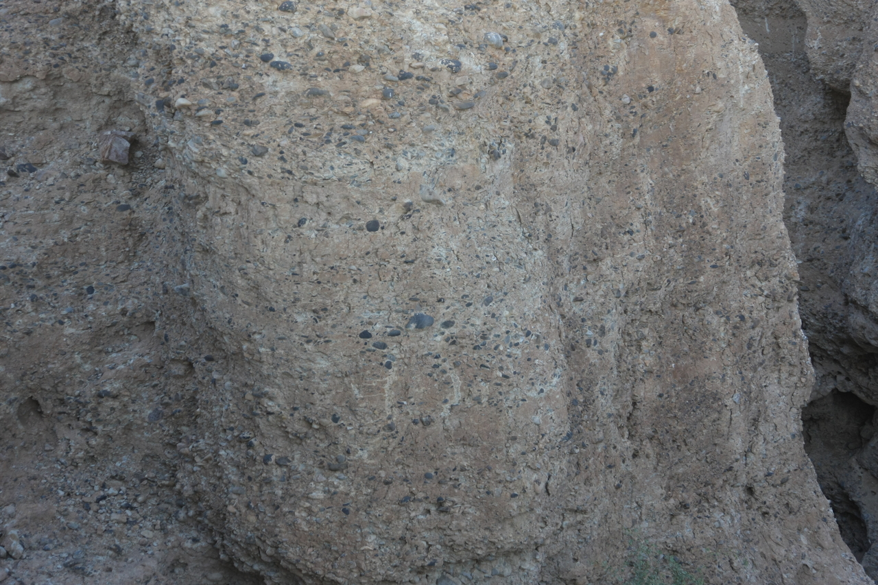 [14016] 2016_06_24_11_54_06_Africa_Canon_EOS_40D_IMG__00056.jpg