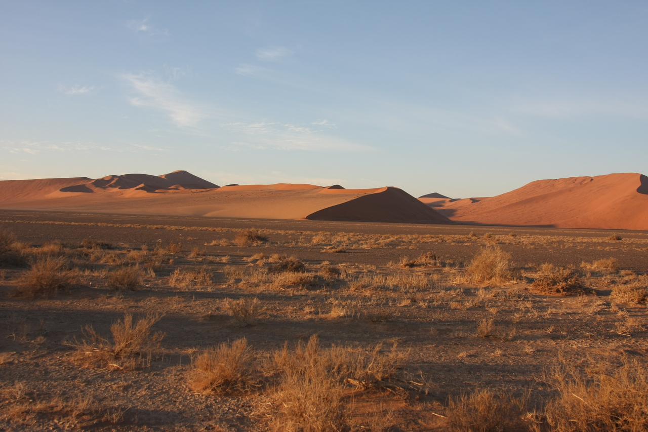 [14658] 2016_06_25_02_08_14_Africa_Canon_EOS_40D_IMG__00014.jpg