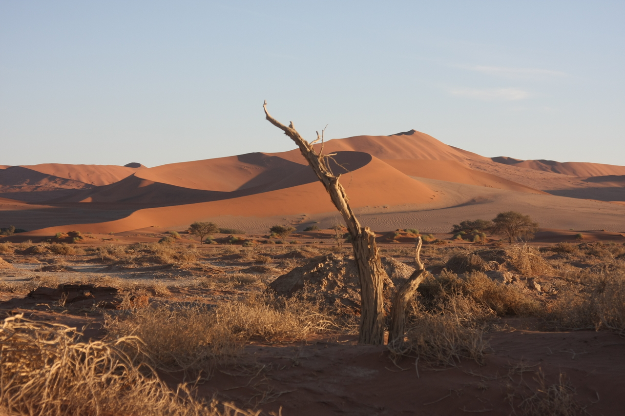 [14686] 2016_06_25_02_20_47_Africa_Canon_EOS_40D_IMG__09520.jpg