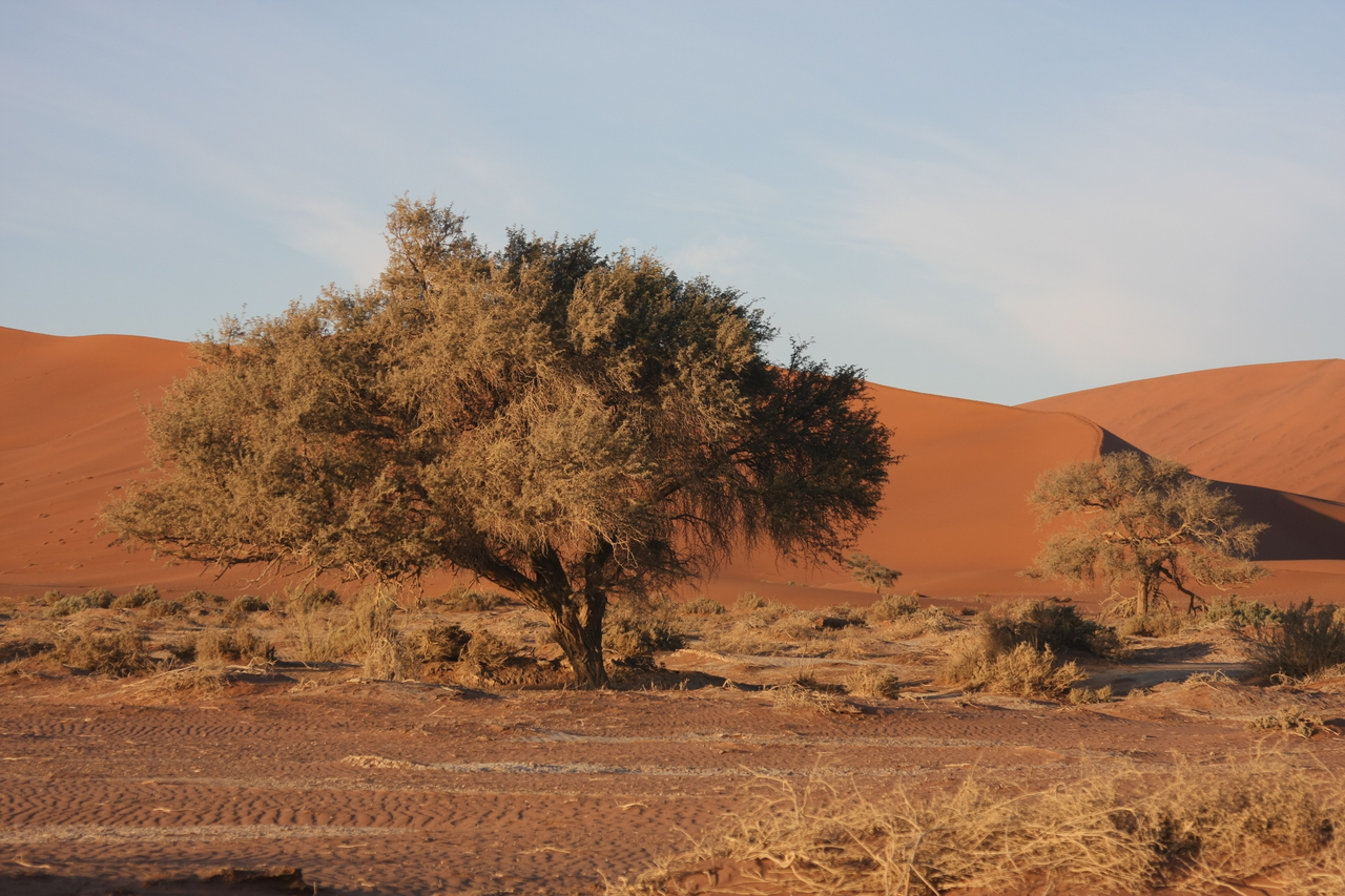 [14708] 2016_06_25_02_21_57_Africa_Canon_EOS_40D_IMG__02140.jpg