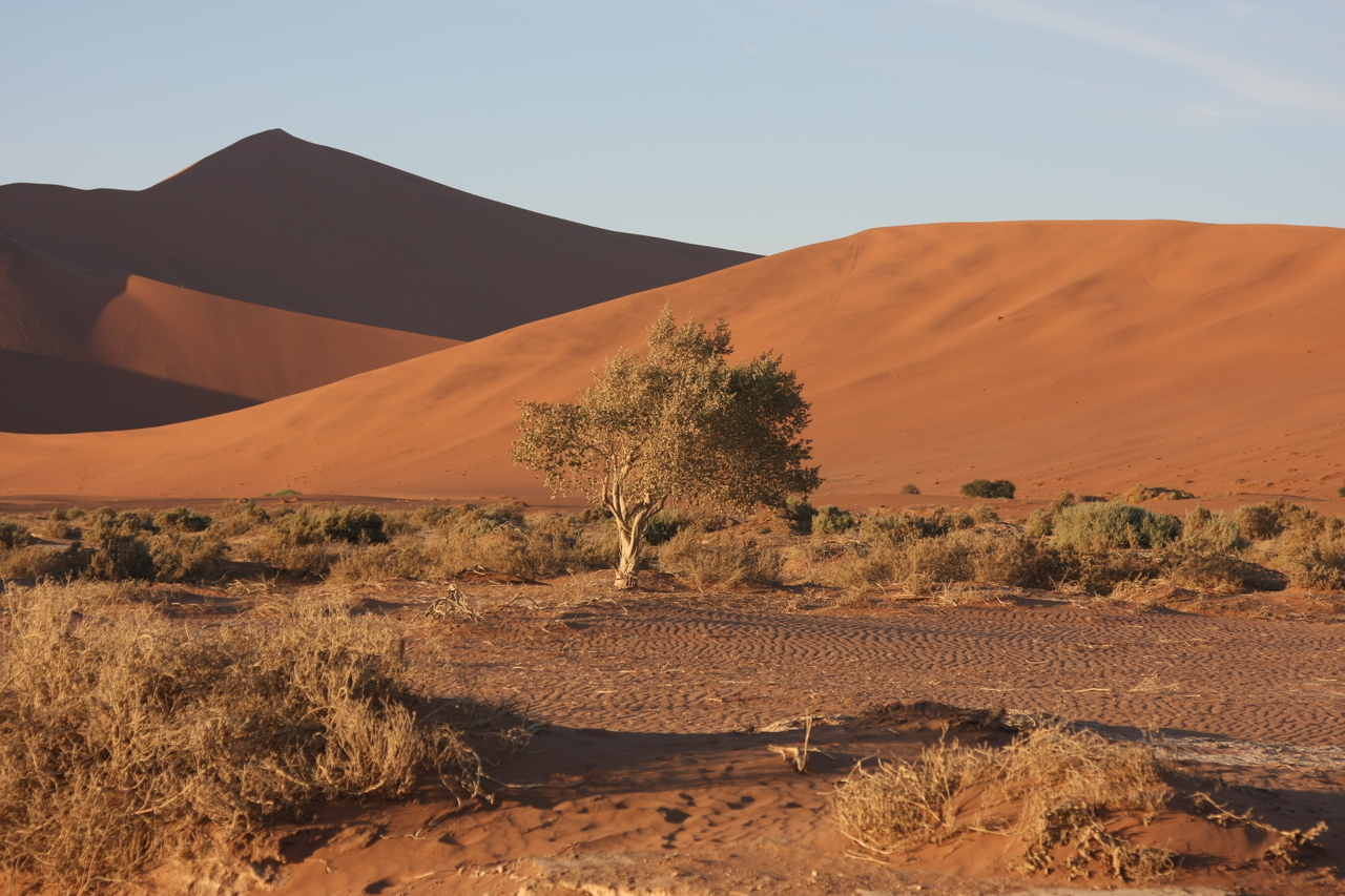 [14727] 2016_06_25_02_22_14_Africa_Canon_EOS_40D_IMG__02184.jpg