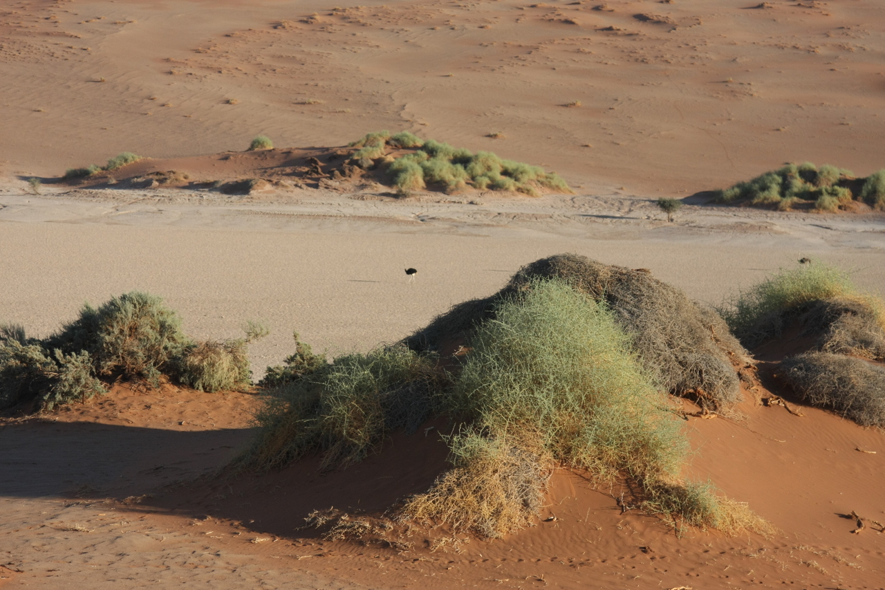 [14797] 2016_06_25_02_50_38_Africa_Canon_EOS_40D_IMG__00235.jpg