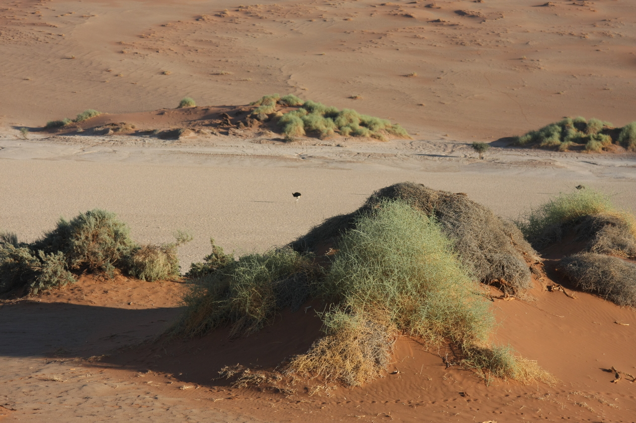 [14798] 2016_06_25_02_50_38_Africa_Canon_EOS_40D_IMG__02226.jpg