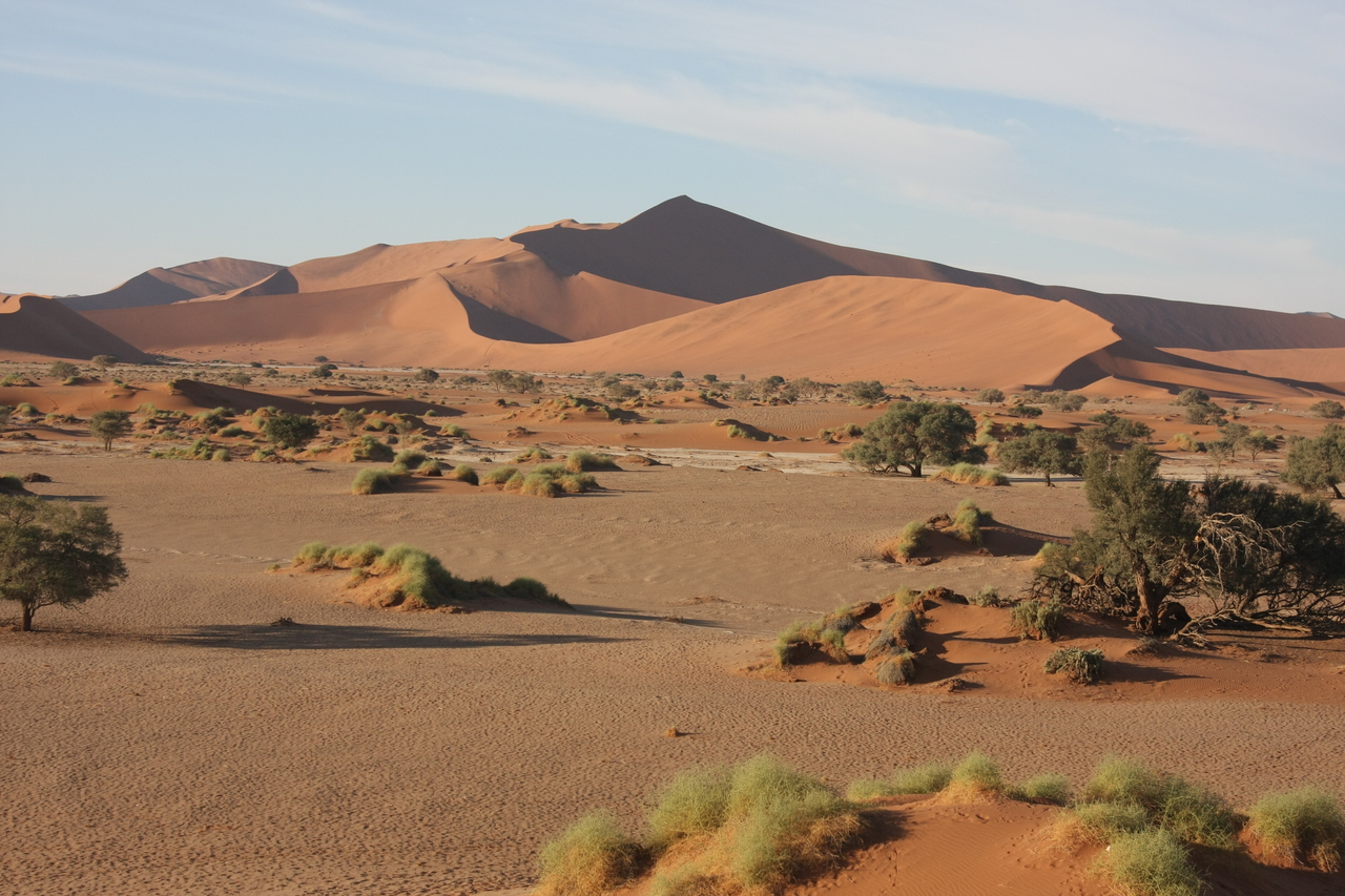 [14827] 2016_06_25_02_53_00_Africa_Canon_EOS_40D_IMG__02237.jpg