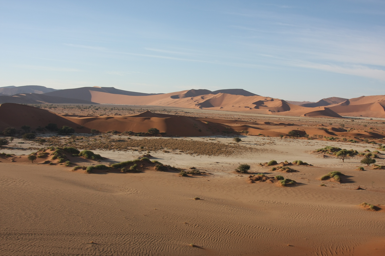 [14910] 2016_06_25_03_01_36_Africa_Canon_EOS_40D_IMG__02261.jpg