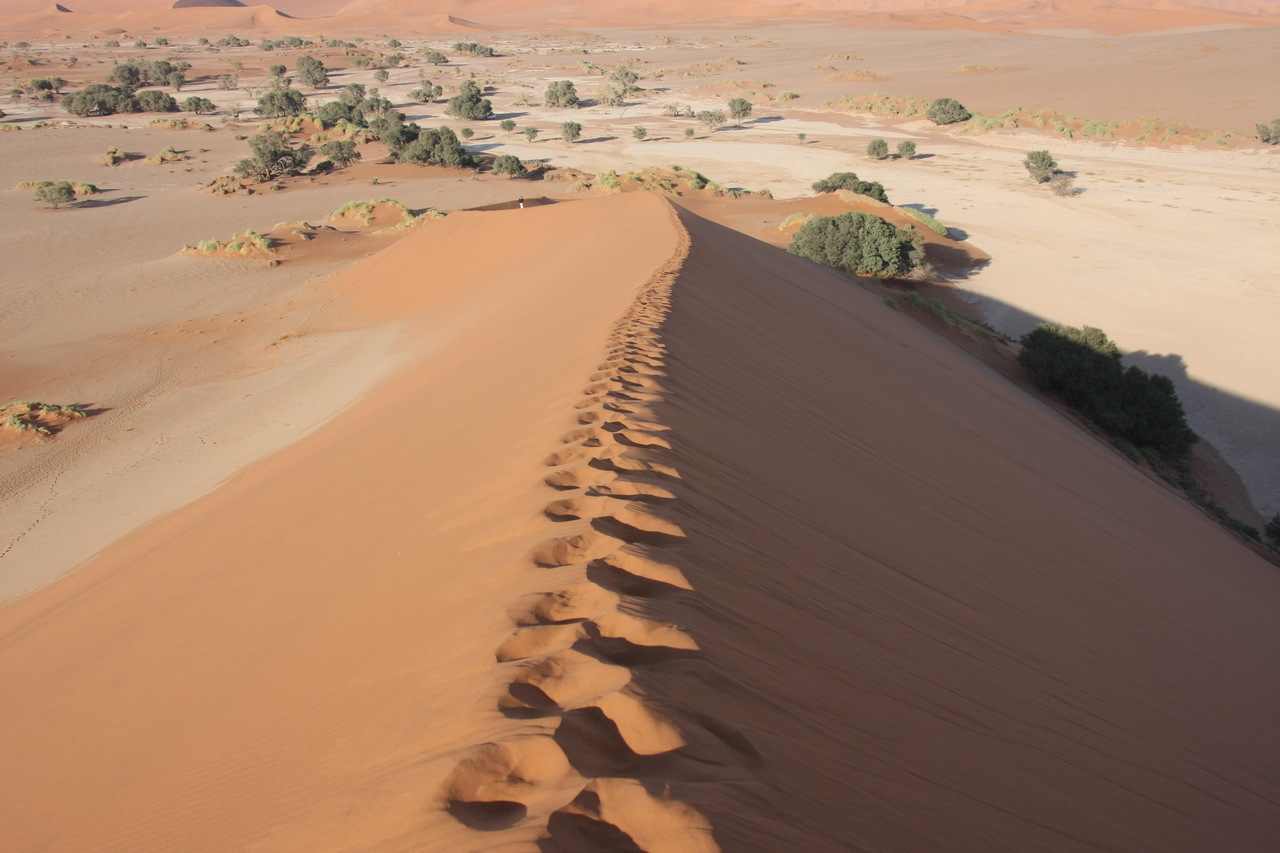 [14942] 2016_06_25_03_06_15_Africa_Canon_EOS_40D_IMG__00280.jpg