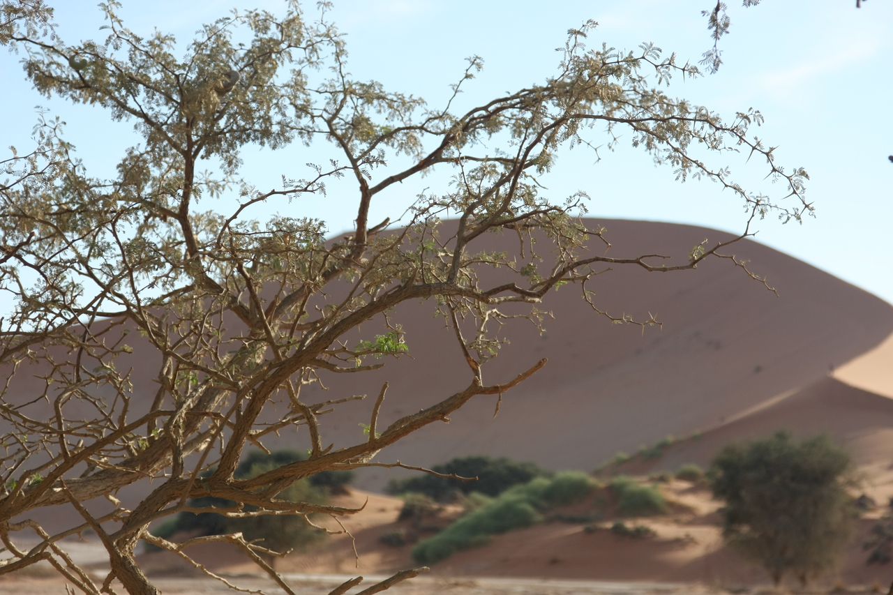 [15101] 2016_06_25_03_31_20_Africa_Canon_EOS_40D_IMG__09472.jpg