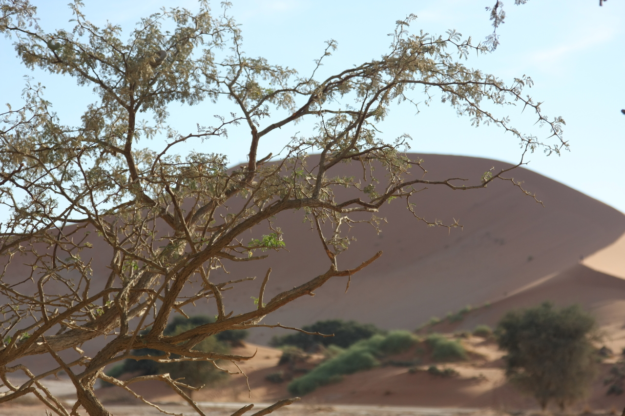 [15102] 2016_06_25_03_31_20_Africa_Canon_EOS_40D_IMG__09473.jpg