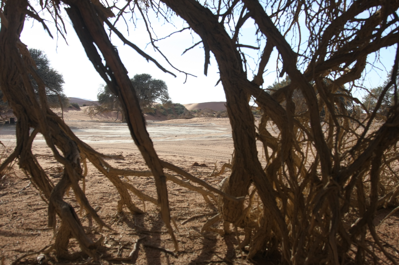 [15103] 2016_06_25_03_32_38_Africa_Canon_EOS_40D_IMG__00034.jpg