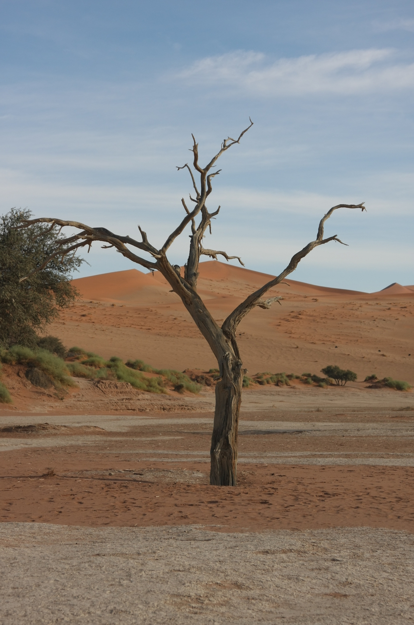 [15115] 2016_06_25_03_39_36_Africa_Canon_EOS_40D_IMG__02032.jpg